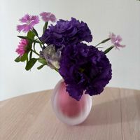 アスター,トルコキキョウ,ナデシコ,キッチン,和室の画像