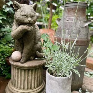 ラベンダー,ラベンダー,ユーカリ ポポラス,ユーカリ ポポラス,雑貨の画像