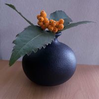 センリョウ,一輪挿し,iPhone撮影,asingleflowervase,リビング・ダイニングの画像