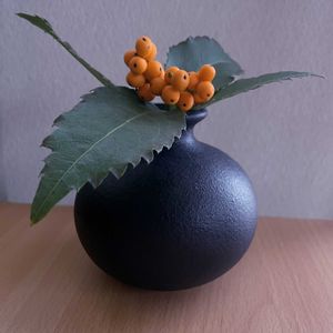 センリョウ,一輪挿し,iPhone撮影,asingleflowervase,リビング・ダイニングの画像
