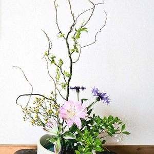 ドウダンツツジ,ウンリュウヤナギ,八重咲きアルストロメリア,華道,いけばなの画像