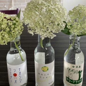 オリーブ,レモン,アナベル,花瓶,空き瓶の画像