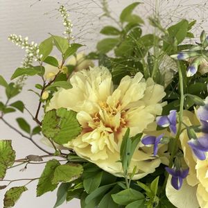シャクヤク,芍薬,フラワーアレンジメント,ブーケ,フラワーレッスンの画像