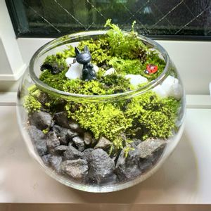 苔のテラリウム,テラリウム,苔 (コケ),小さな世界の画像