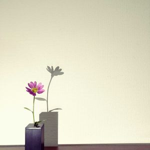 みやこわすれ,みやこわすれ,一輪挿し,花瓶,山野草の画像