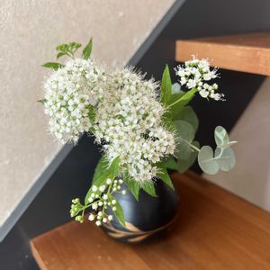 階段/廊下の画像