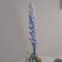 観葉植物,切り花,一輪挿し,可愛い,花瓶の画像