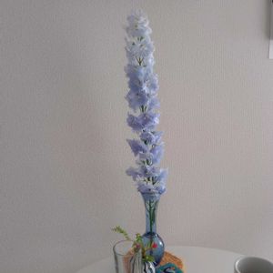 観葉植物,切り花,一輪挿し,可愛い,花瓶の画像