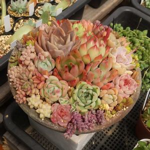 軒下の画像