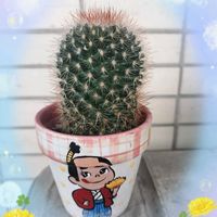 猩々丸,虹の玉,GSの繋がりに感謝♡,バラと夢CLUB,ひやみかち首里城！の画像