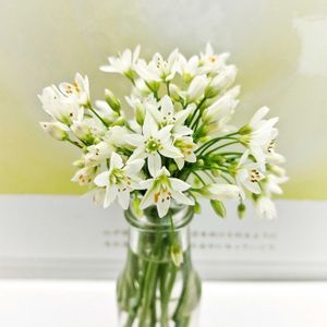 グリーンボール,スノーフレーク♡,小さなお庭♡,いつもありがとう❤️,#おうちde菜園の画像
