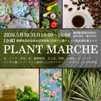 多肉植物,多肉大好き,洋ラン,つぶつぶ,ぷりぷり多肉の画像