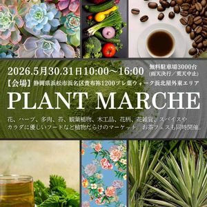 多肉植物,多肉大好き,洋ラン,つぶつぶ,ぷりぷり多肉の画像