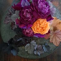 スイートピー,ヒューケラ,ぎんねこのユーミン,薔薇シルクロード,薔薇カーディナル・ド・リシュリューの画像