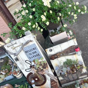 ミニバラ・グリーンアイス,多肉植物,手作りの庭,多肉のある暮らし,手作り雑貨の画像