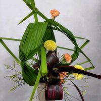 オクラレルカ,カーネーション,ガイラルディア,ドラセナ,マリーゴールドの画像