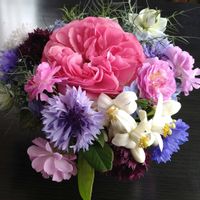 ニゲラ,バラ,ヤグルマギク,グレープフルーツ,薔薇 レオナルド・ダ・ヴィンチの画像