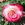 song