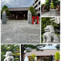サクラ,ビワ,キョウチクトウ,桜の実,神社の画像