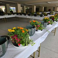 寄せ植え,ガーデニング,花のある暮らし,ハンギングバスケット,お花の寄せ植えの画像