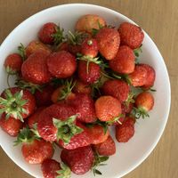 イチゴ,大根,キャベツ,家庭菜園の画像