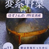 かぼちゃ,カボチャ,野菜のある暮らし,野菜遺産,野菜遺産PROJECTの画像