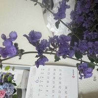 セイヨウニンジンボクの画像