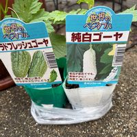 ゴーヤ,可愛い〜♡,花のある暮らし,家庭菜園の画像