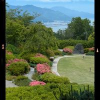 ヒペリカム,トキワマンサク,富士山,静岡県,久能山東照宮の画像
