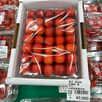サクランボ,green life,ｷﾞｭｯﾄby♡me,レッツゴー三匹,妄想倶楽部の画像