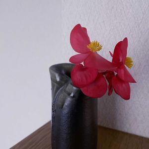 ベゴニア,一輪挿し,信楽焼,iPhone撮影,asingleflowervaseの画像