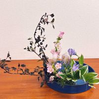 オキナグサ,カンパニュラ,キキョウ,ナルコユリ,桔梗の画像