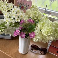 カシワバアジサイ,ペチュニア,ジュズサンゴ,紫陽花 ダンスパーティー,八重カシワバアジサイの画像