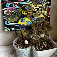 小人の祭り,小人の祭り錦,アーノルディ,DAISOスクラッチ,自作リメ缶、リメ鉢の画像