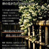 ウツギ,タニウツギ,バイカウツギ,ヒメウツギ,サラサウツギの画像