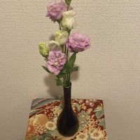 トルコキキョウ,熊本,熊本から,復興を祈るの画像