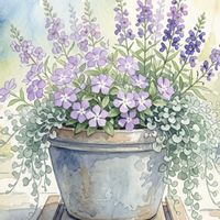 ウォーターマッシュルーム,ルメックス　ブラッディドッグ,ジェミニ画,花のある暮らし,癒し…♡の画像