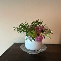コデマリ,コバノズイナ,ノイバラ,アナベル,シモツケ の画像