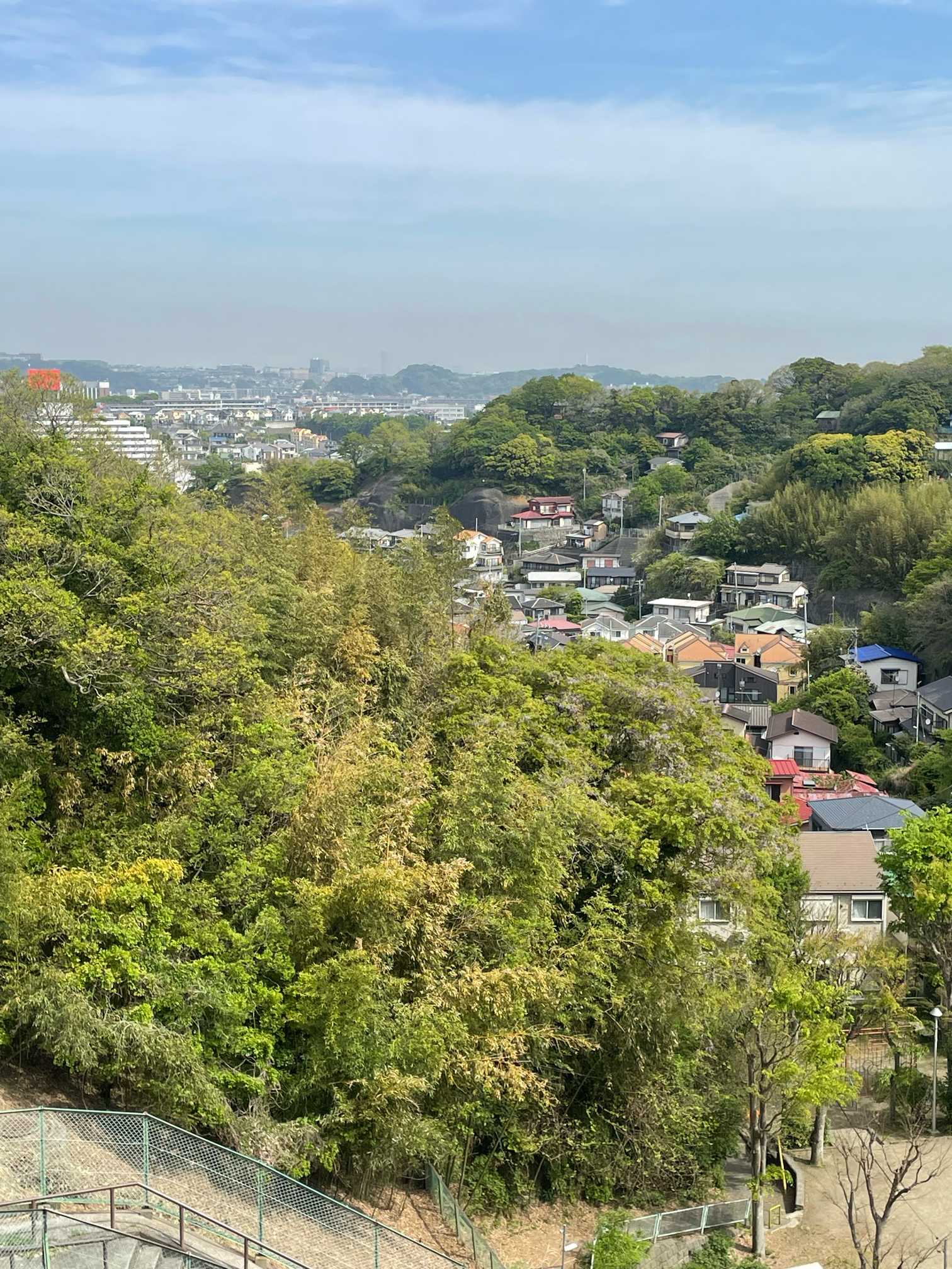 神奈川の4月のお花〜追浜・鷹取山・二子山・逗子〜｜🍀GreenSnap
