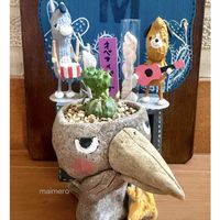 オベサ,アフリカ亀甲竜,子吹きオベサ,ユーフォルビア,おまんじゅうの画像