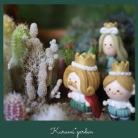 サボテン,サボテン寄せ植え,ツルビニカルプス 蕪城丸ミニマ,ツルビニカルプス 蕪城丸ミニマ,サボテンの寄せ植えの画像