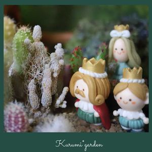 サボテン,サボテン寄せ植え,ツルビニカルプス 蕪城丸ミニマ,ツルビニカルプス 蕪城丸ミニマ,サボテンの寄せ植えの画像