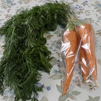 ニンジン,ニンジン,葉っぱ好き,農産物直売所,Juneの会の画像