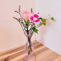 カーネーション,スターチス,ダイアンサス,アイビー,切り花の画像