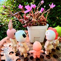 リトープス,桜吹雪,ラゴブス,ガチャ,ずっと一緒の画像