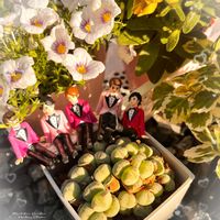 コノフィツム,コノフィツム ルイザエ,アロマティカス斑入り,ニーレンベルキア,白い花の画像