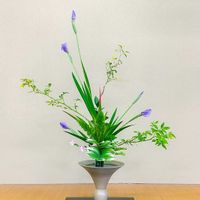 シャガ,ナデシコ,ナルコユリ,ハナショウブ,ハナショウブの画像