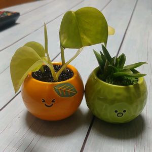花瓶の画像