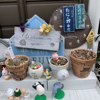 リトープス,桜吹雪,ムギ,麦(むぎ),今日のお花の画像