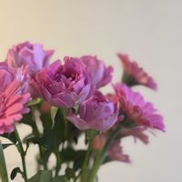 お花屋さん,花のある暮らし,ガラスの花瓶,町のお花屋さん,君も花が好きなのかの画像